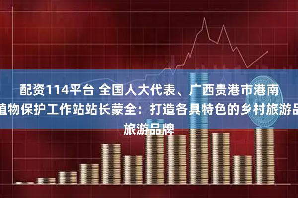 配资114平台 全国人大代表、广西贵港市港南区植物保护工作站站长蒙全：打造各具特色的乡村旅游品牌