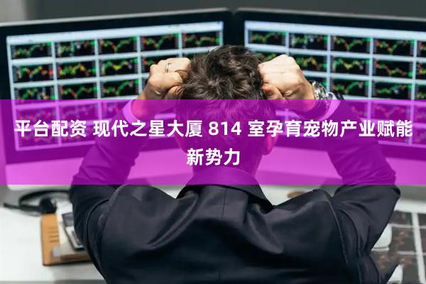 平台配资 现代之星大厦 814 室孕育宠物产业赋能新势力